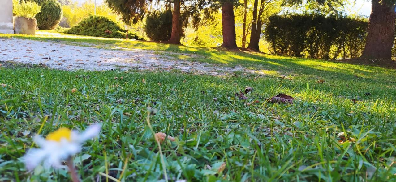 Green House Next - Lovely Apartment For Family And Free Parking Levico Terme Dış mekan fotoğraf