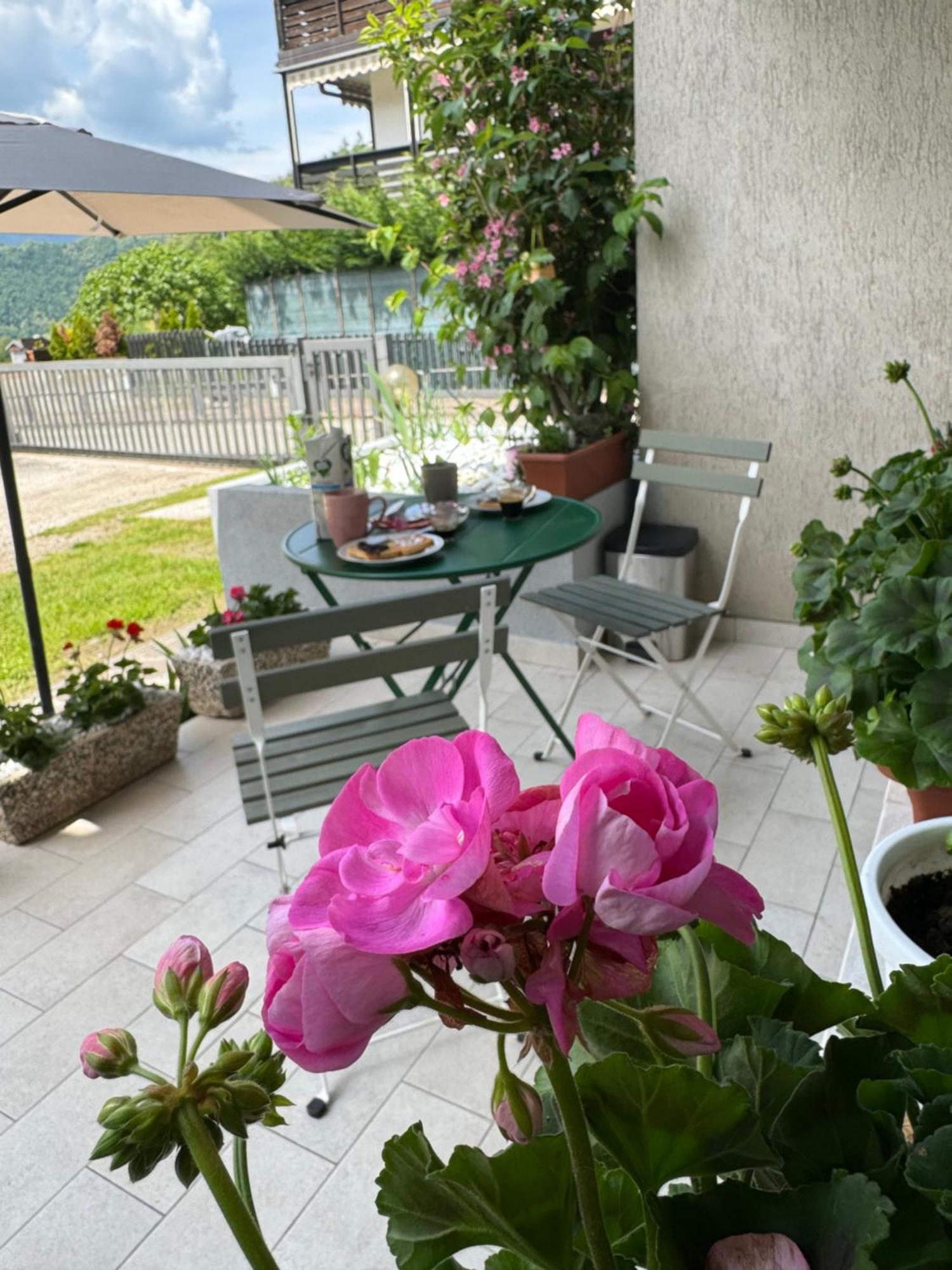 Green House Next - Lovely Apartment For Family And Free Parking Levico Terme Dış mekan fotoğraf